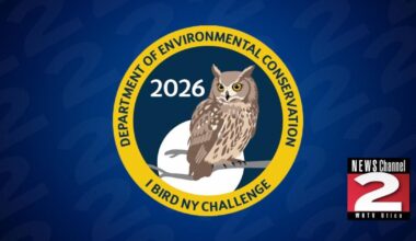 2026 I BIRD NY Challenge: Spot 10 Bird Species | Education
