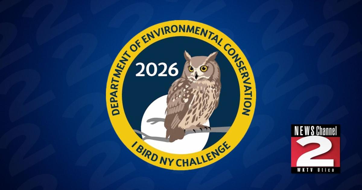 2026 I BIRD NY Challenge: Spot 10 Bird Species | Education