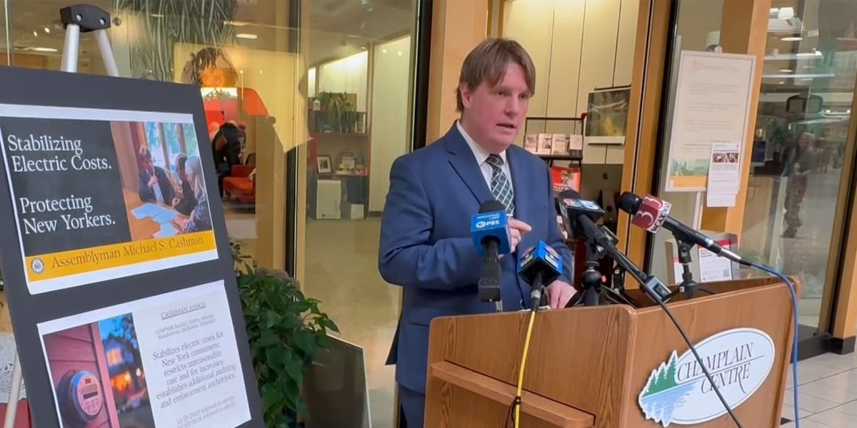 New York assemblyman proposes cap on electric rate increases