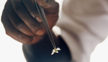 Restaurant Review: Cove and Saga