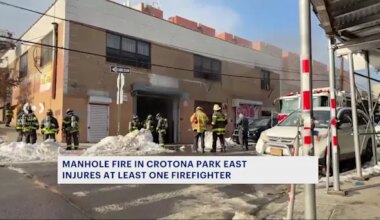 News 12 | The Bronx