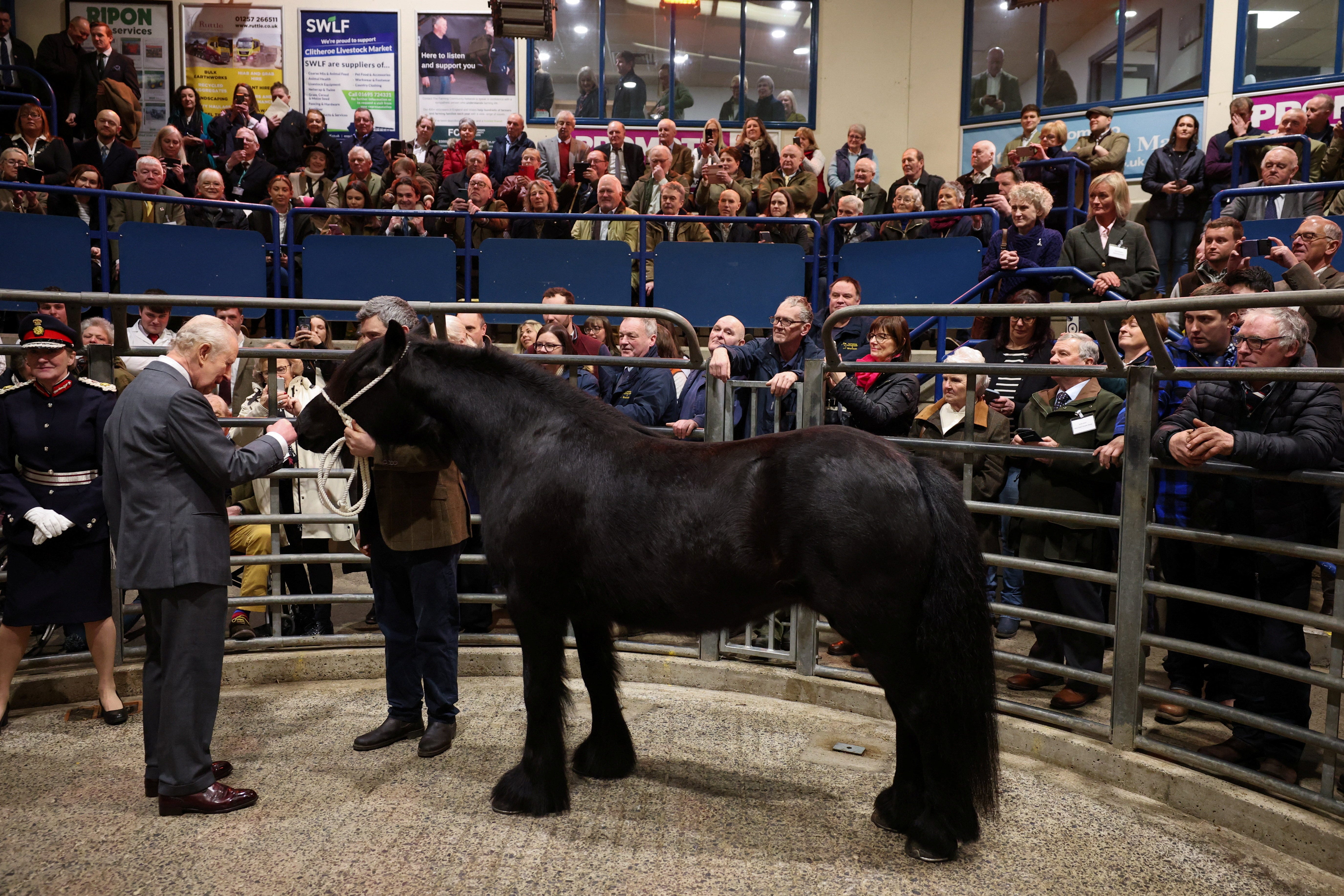 Charles meets Fell pony Pearl during his visit to Clitheroe Auction Mart in Lancashire