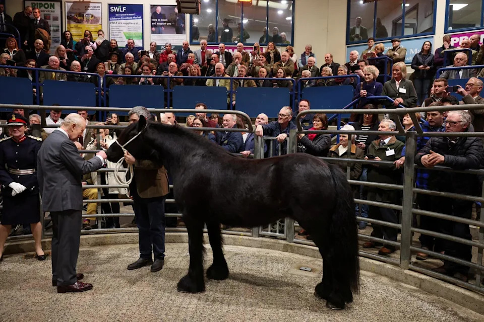 Charles meets Fell pony Pearl during his visit to Clitheroe Auction Mart in Lancashire (PA Wire)