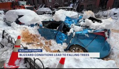 News 12 | Brooklyn | NYC deploys downed trees task force after 1,800 reports of fallen trees during blizzard