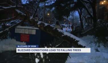 News 12 | Brooklyn | News 12 tracks storm aftermath across Brookyln with fallen trees
