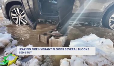News 12 | Brooklyn | 'Leaking hydrant' floods several blocks in Bed-Stuy