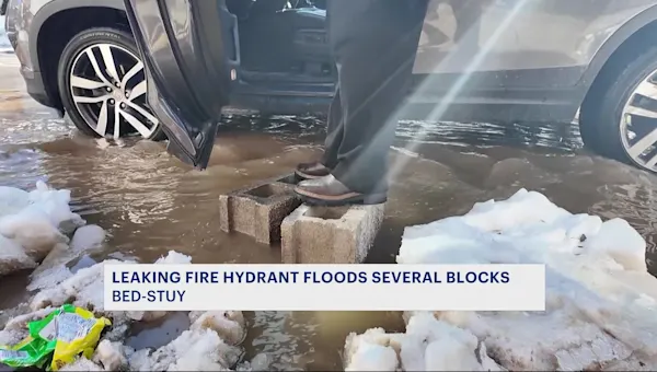 News 12 | Brooklyn | 'Leaking hydrant' floods several blocks in Bed-Stuy