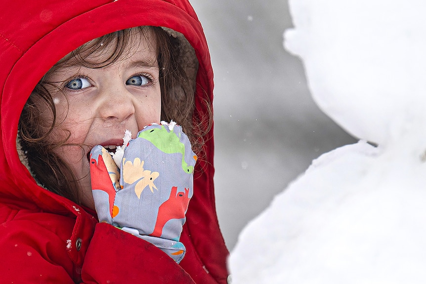 A small child in a red jacket eats snow from her hand.