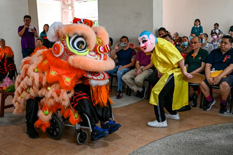 The Silver Pride Lion Troupe has coaxed more than a dozen elderly people out of retirement to perform a revered Lunar New Year tradition