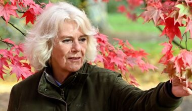 Queen Camilla discreetly transfers ownership of her £850k 'divorce home'