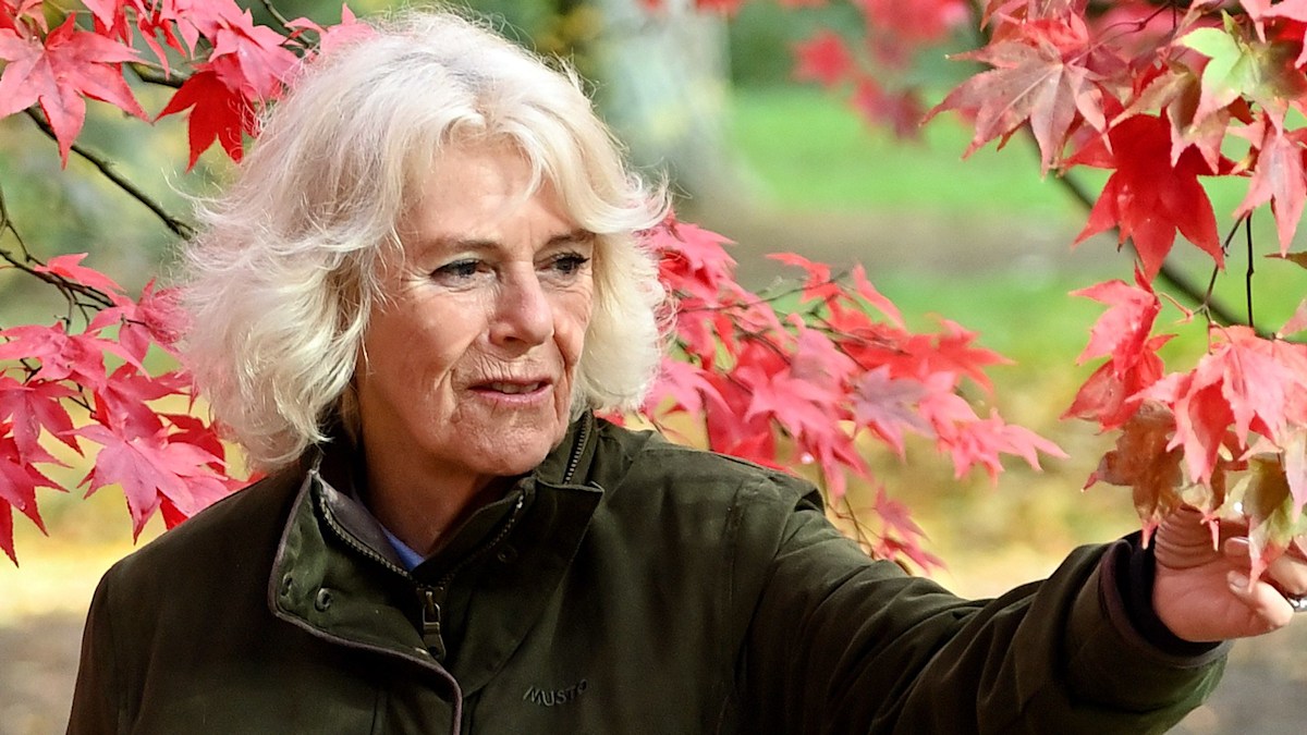 Queen Camilla discreetly transfers ownership of her £850k 'divorce home'