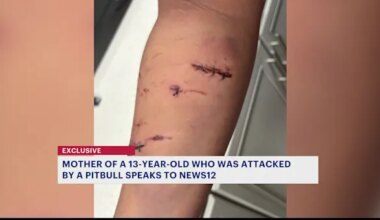 News 12 | Brooklyn | Mother wants answers after pitbull attack in East New York
