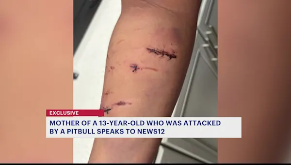 News 12 | Brooklyn | Mother wants answers after pitbull attack in East New York
