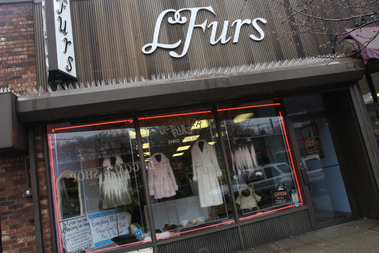 L'Furs