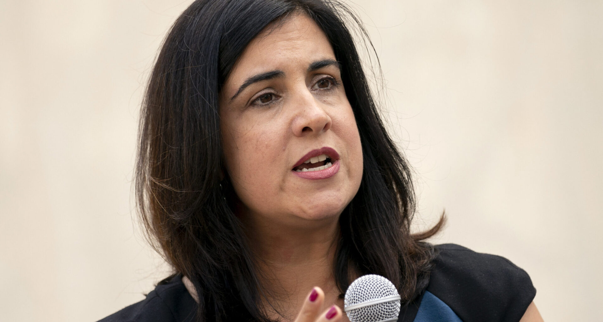 Rep. Malliotakis of Brooklyn and Staten Island. Photo: John Minchillo/AP