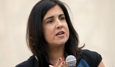 Rep. Malliotakis of Brooklyn and Staten Island. Photo: John Minchillo/AP