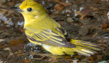 It’s In Queens! (Feb. 27 to March 5)