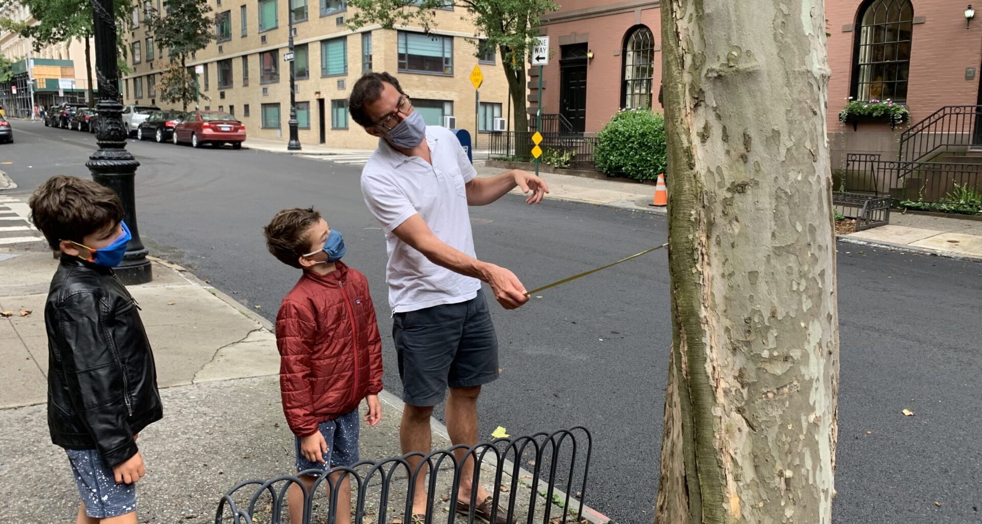 Brooklyn Heights Association volunteer Peter Steinberg and his sons Charlie (left) and Henry measured street tree pits in September 2020. Photo: Mary Frost/Brooklyn Eagle
