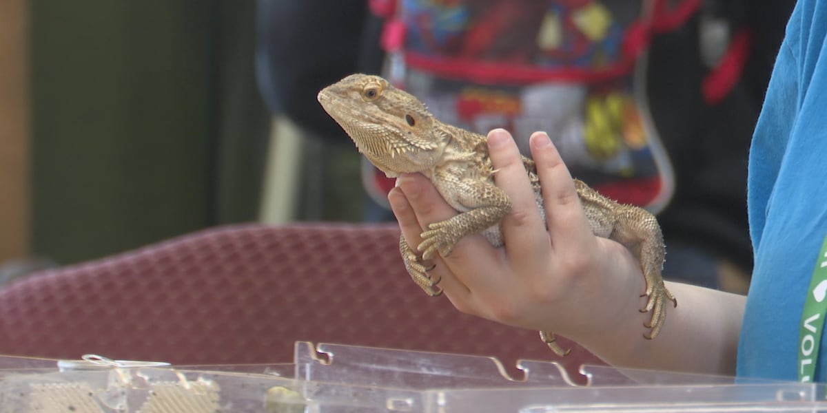 Zoo New York hosts Lunar New Year Celebration Saturday