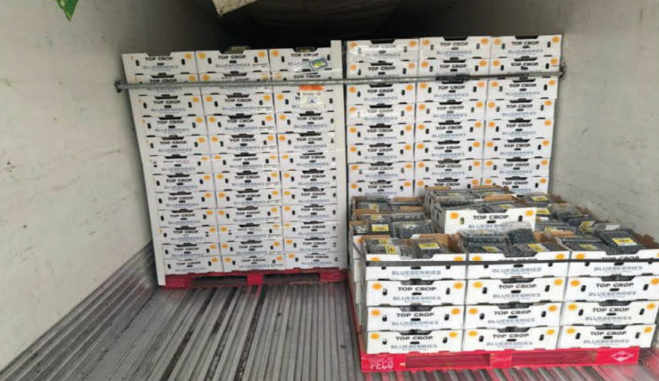 Blueberry cargo theft