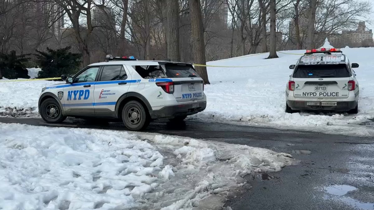 Body found under pile of snow in Central Park, police say – NBC New York