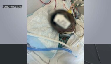 2-year-old boy dies after severely beaten by father in Queens – NBC New York