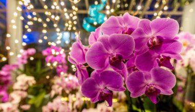 Top Things to Do in New York State