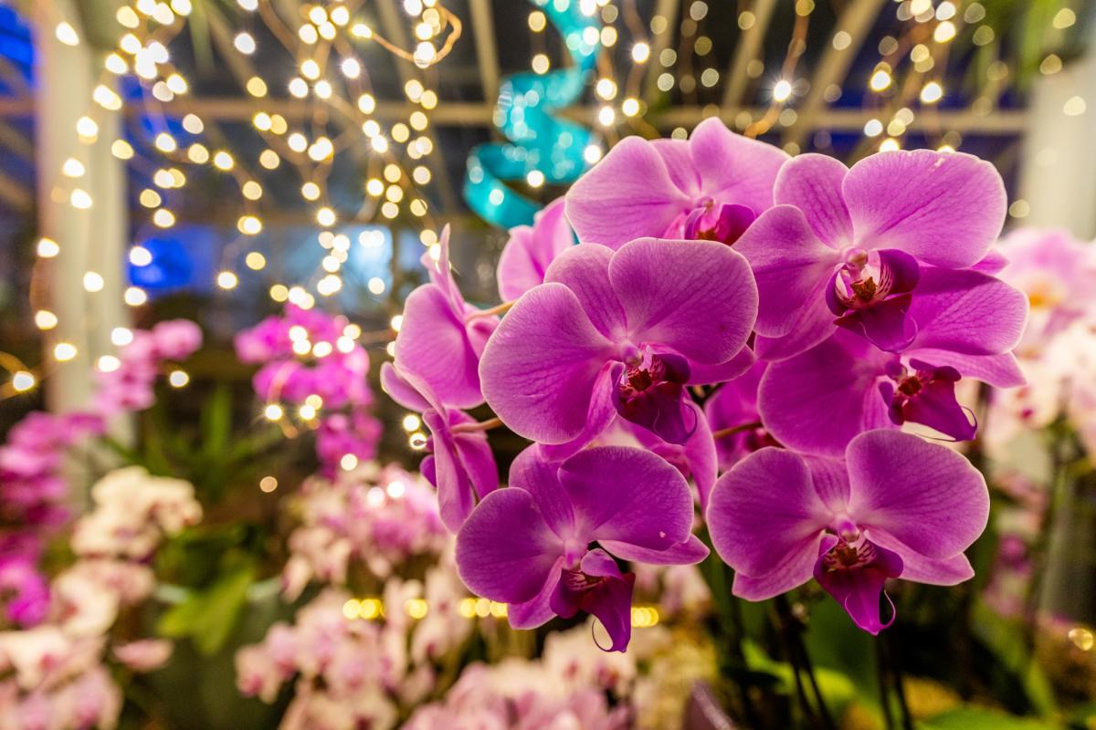 Top Things to Do in New York State