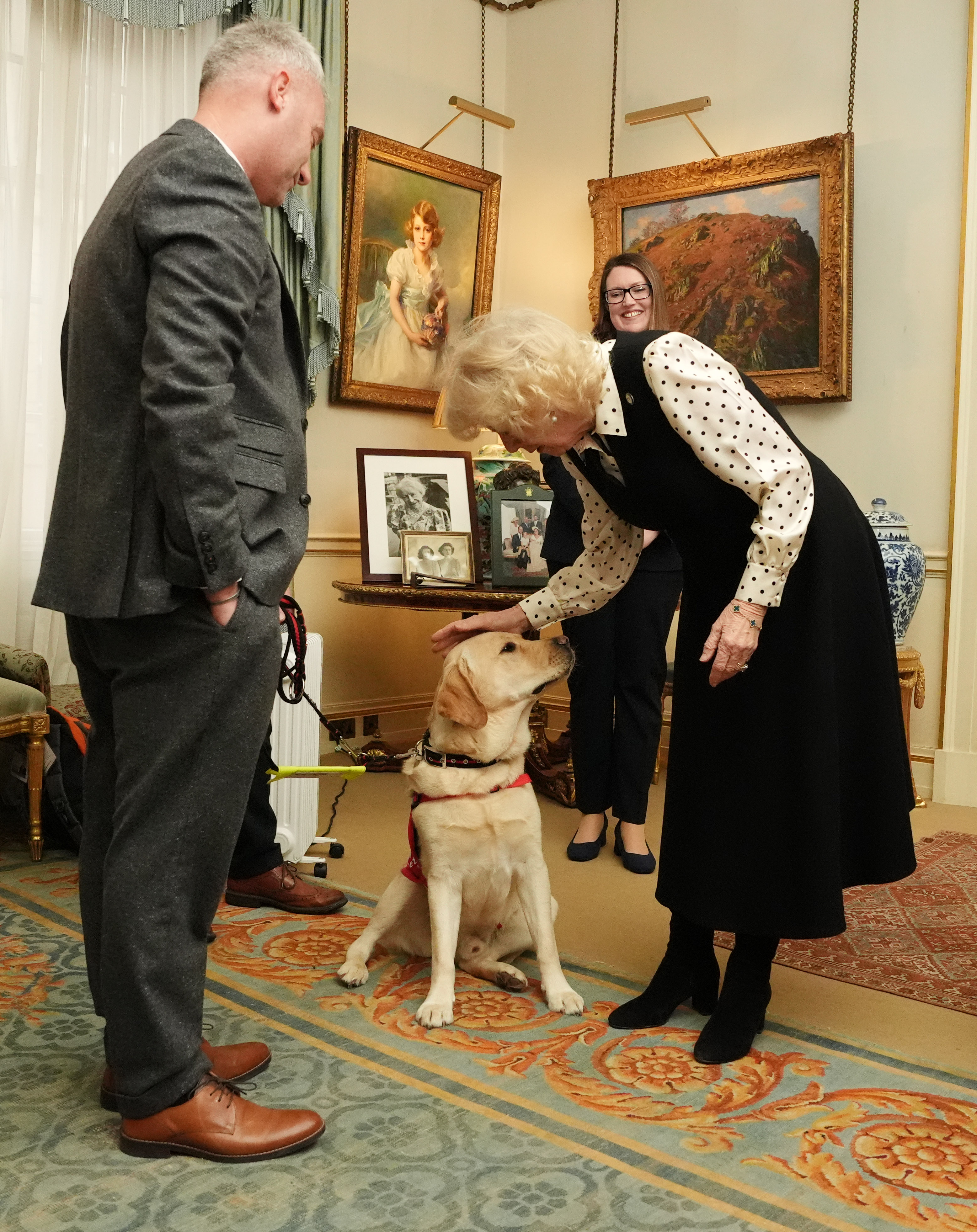 Queen Camilla petting a yellow lab