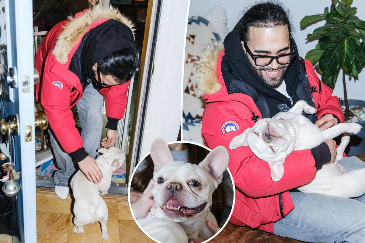 Tearjerker scene as NYC couple reunited with French bulldog Coco Chanel stolen during home invasion