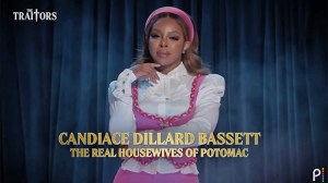 Candiace Dillard Bassett, 'The Traitors'