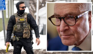 Schumer hosting Bronx nurse whose son was grabbed by ICE