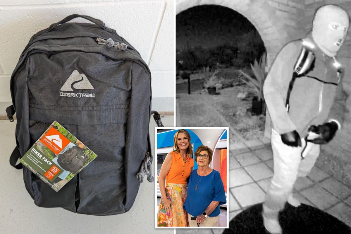 Description of Nancy Guthrie kidnapping suspect released — as FBI offers $100K for info leading to break in case