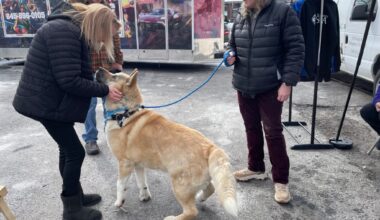 Winterfest on Rondout in Kingston offers fun while helping good causes – Daily Freeman