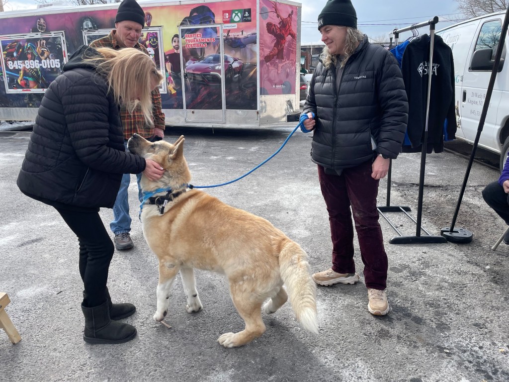 Winterfest on Rondout in Kingston offers fun while helping good causes – Daily Freeman