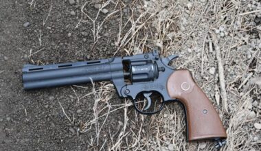 State police shoot, critically wound person in town of Rochester – Daily Freeman