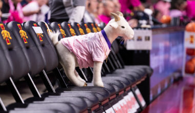 Cyclones visit Wildcats – Iowa State Daily