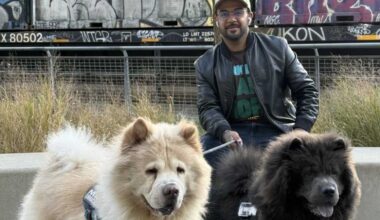 After a Tragedy, one Bronx dog owner fights to give Mott Haven dogs a safe place to run – Bronx Times
