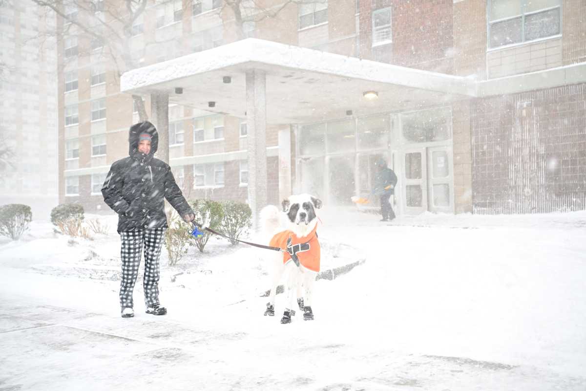 NYC BLIZZARD: Everything you need to know about the massive winter storm and its impacts