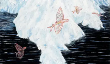 Introducing new contemporary art at the Queen's House for 2026