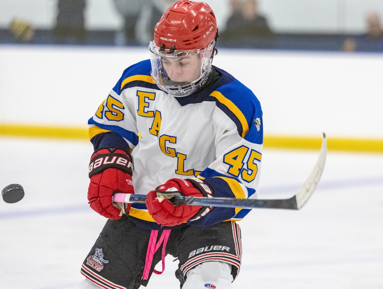 Staten Island HS sports notebook: STP hockey wins big