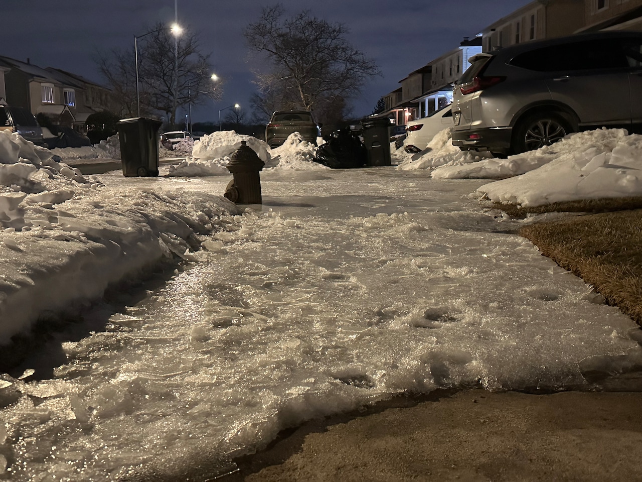 Icy Conditions in Eltingville