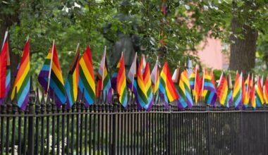 New York leaders, advocates vow to re-raise Stonewall pride flag after Trump admin removal