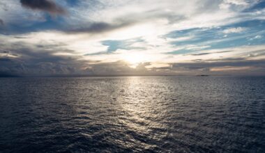 13-year-old saves family swept out to sea off Australian coast – NBC New York