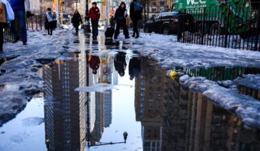 How much snow fell in the NYC area last night?