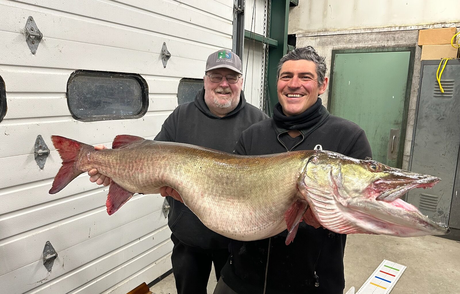 Warwick Angler Lands Potential State-Record Northern Pike on Greenwood Lake – The Warwick Valley Dispatch