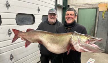 Warwick Angler Lands Potential State-Record Northern Pike on Greenwood Lake – The Warwick Valley Dispatch
