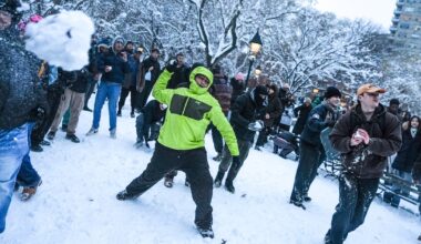 Cops Pelted With Snowballs and Injured in NYC Park During Blizzard