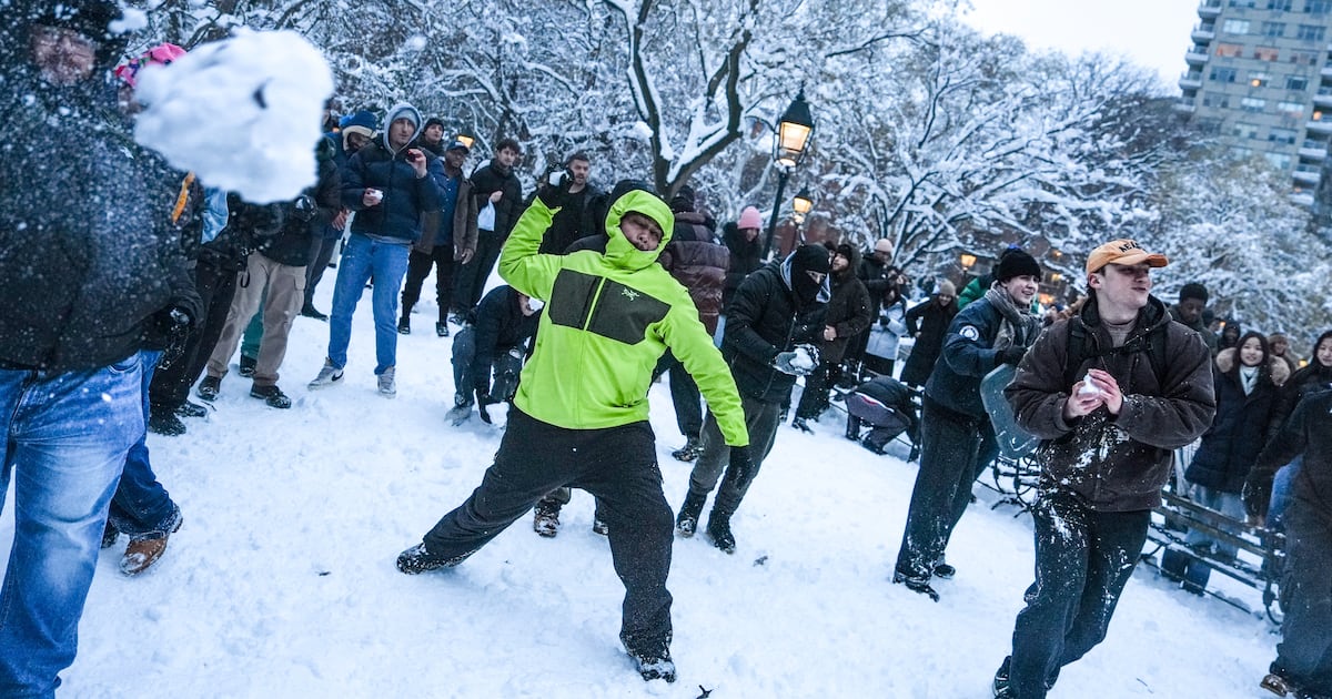 Cops Pelted With Snowballs and Injured in NYC Park During Blizzard