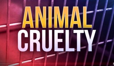 Watertown man accused of starving dog